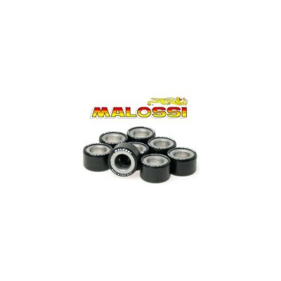 19X15,5 6,5gr Malossi 