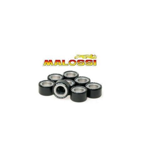 19X15,5 6,5gr Malossi 